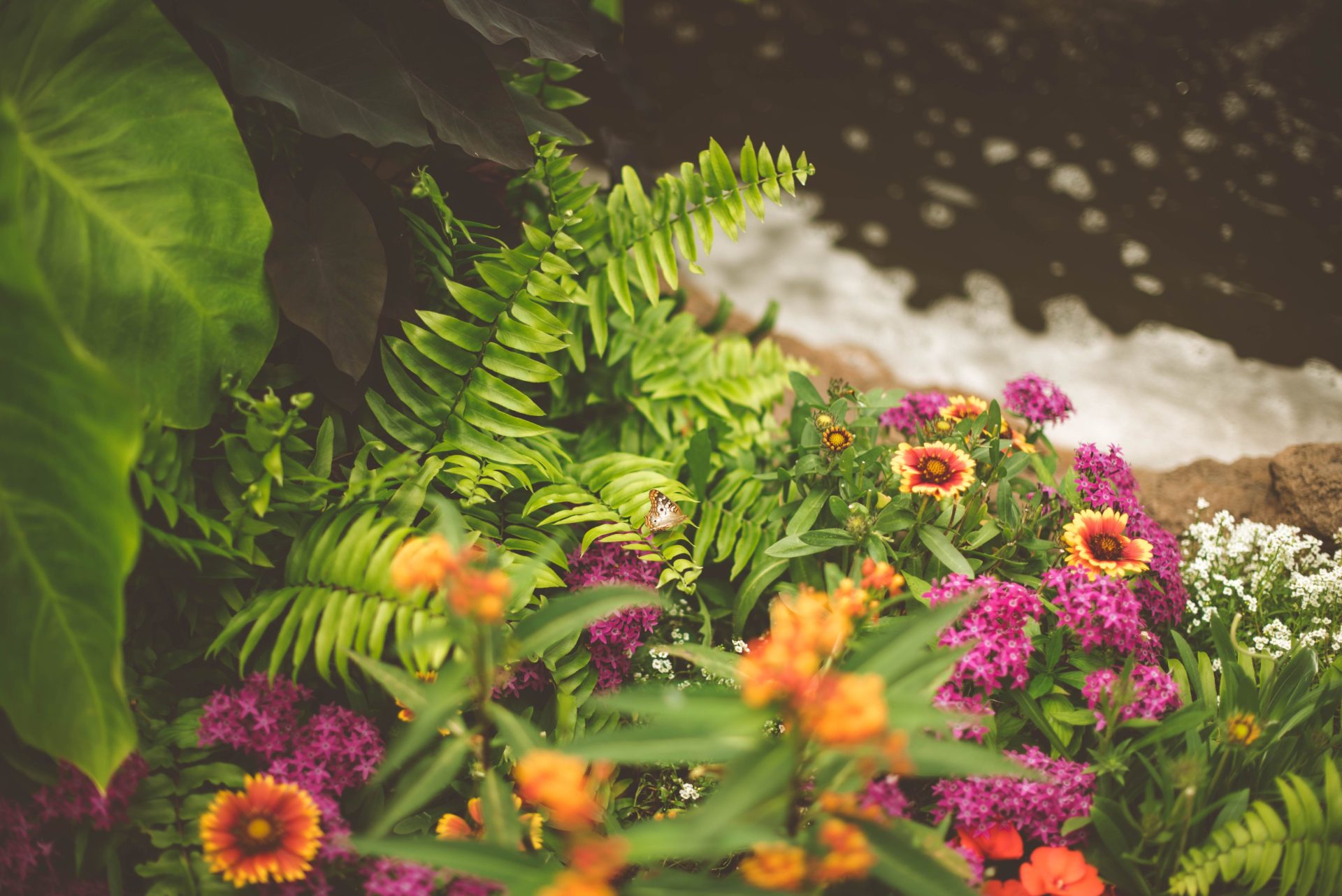 Blog post of matching category to this post's featured image