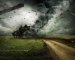 What Kind of Damage Will My Landlord Insurance Policy Cover? What Property Investors Need to Know