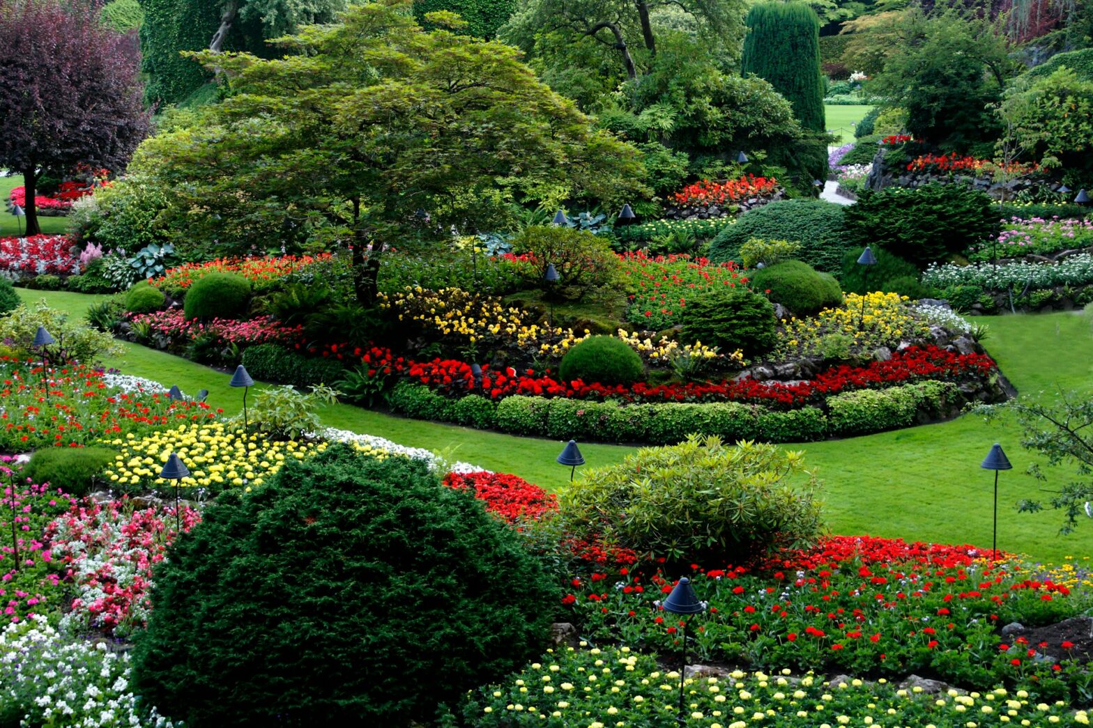 Blog post of matching category to this post's featured image