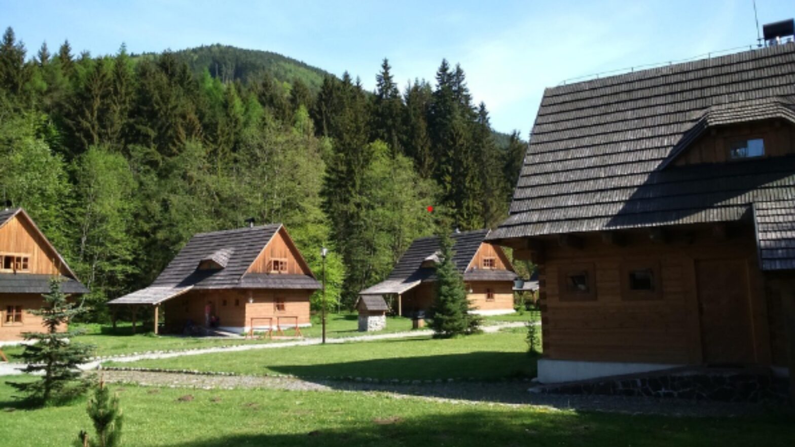 Featured Image
