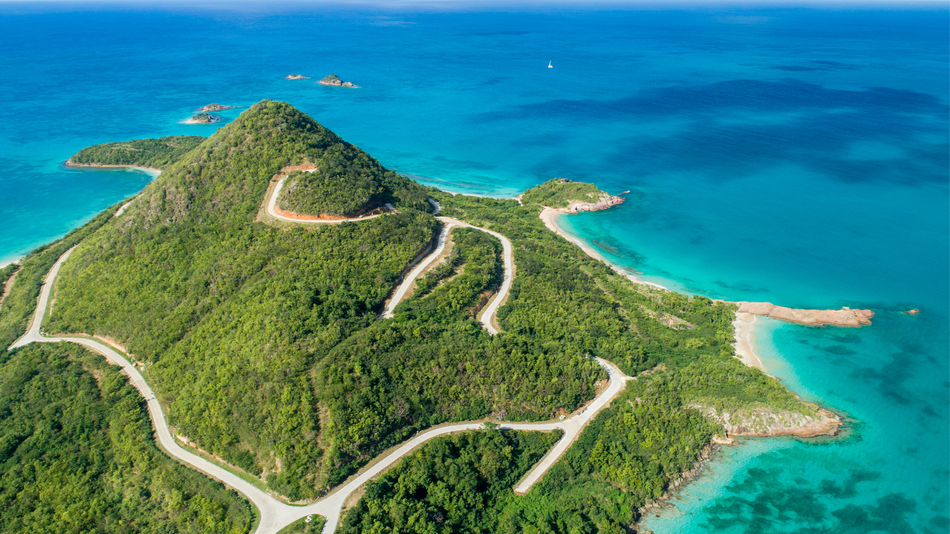 Picture of Deluxe Sustainability: Wealthy Investors Drive Demand for Eco-Friendly ...