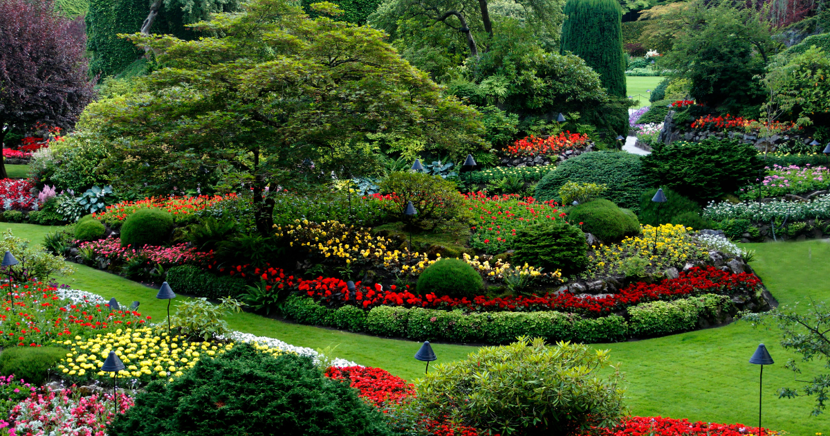 Blog post of matching category to this post's featured image