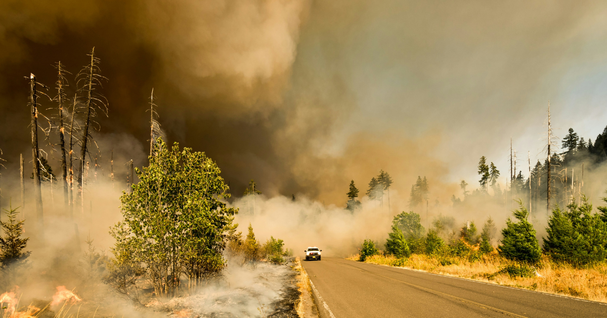 Blog post of matching category to this post's featured image