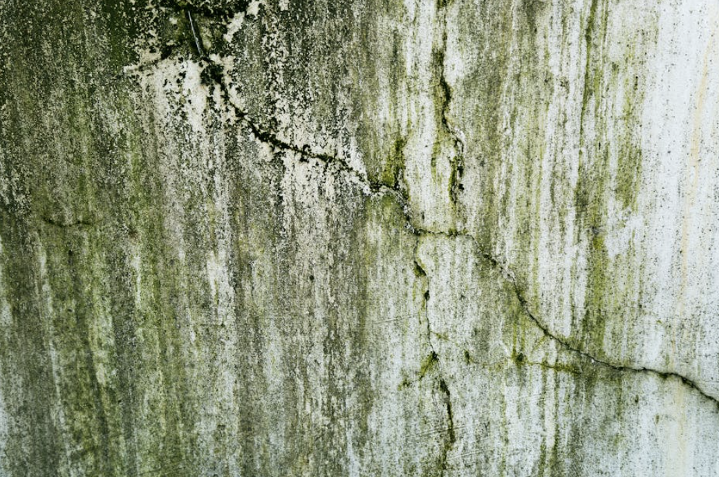 Blog post of matching category to this post's featured image