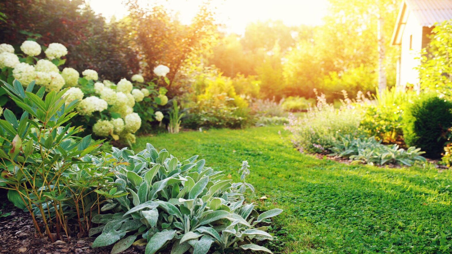 Featured Image