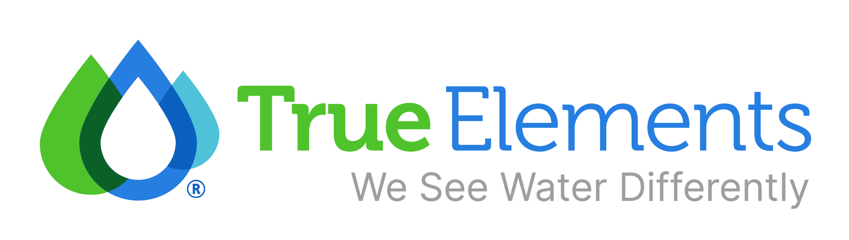 Winner small image - True Elements