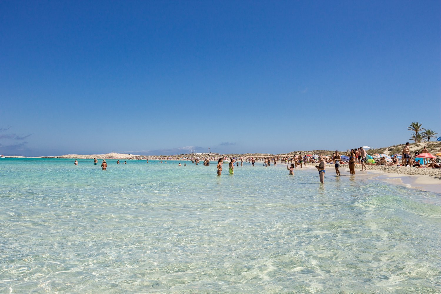 Winner small image - Bespoke Ibiza