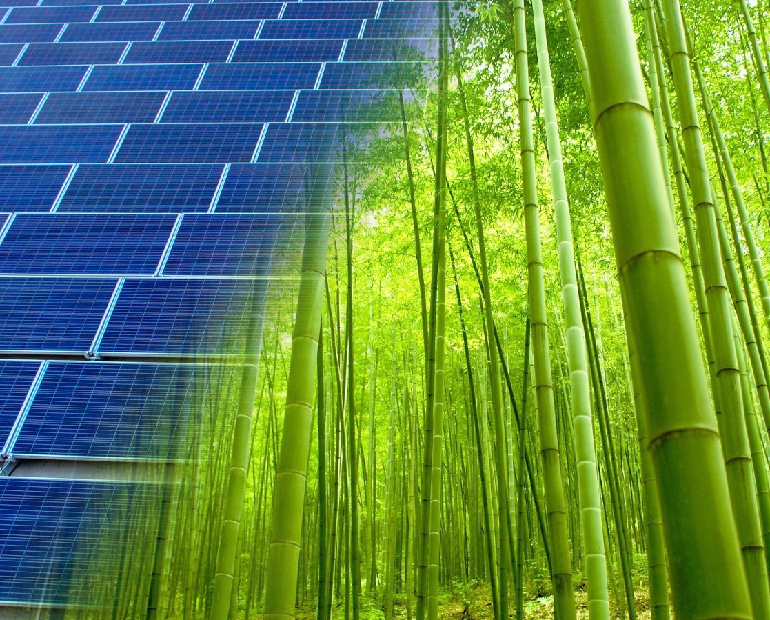 Winners chosen image