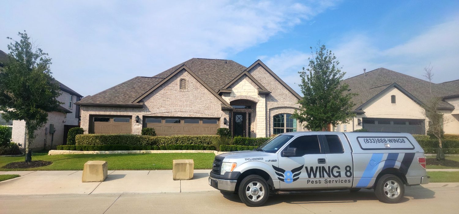 Winner small image - WING 8 Pest Services