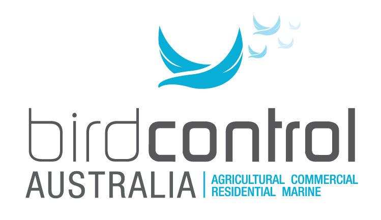 Winner small image - Bird Control Australia