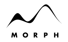 Winner small image - Morph